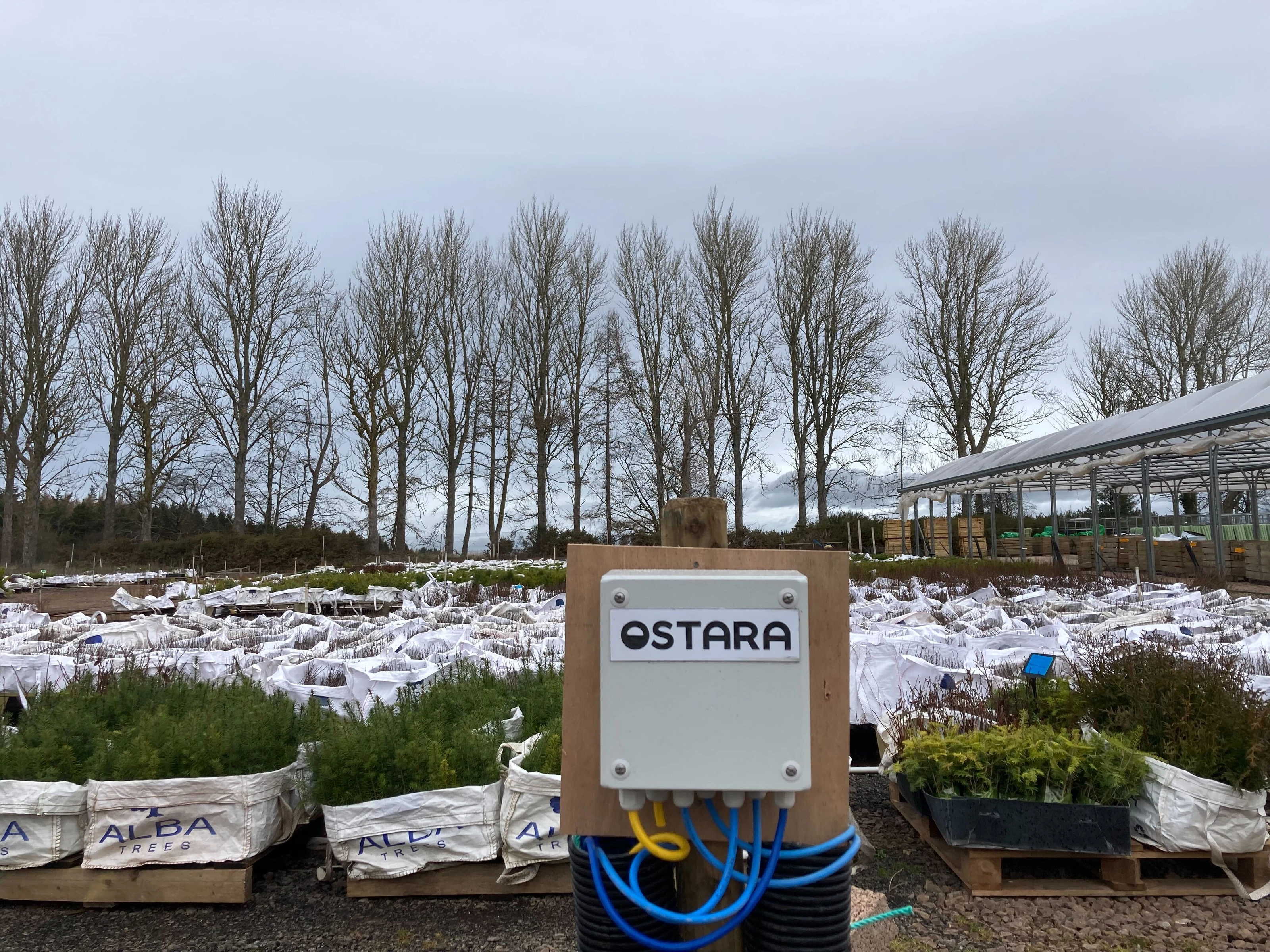 Ostara irrigation at Alba