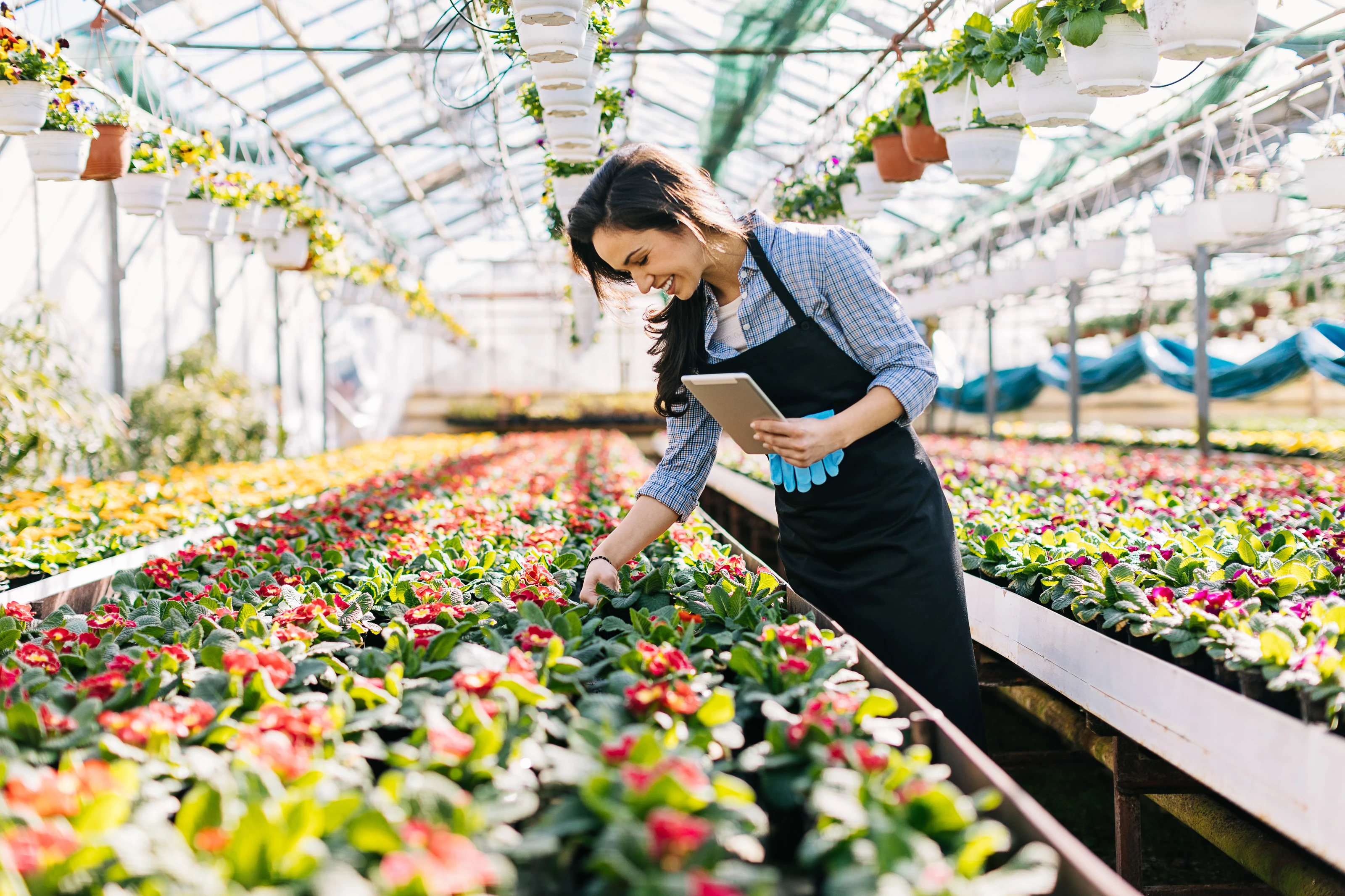 Irrigation scheduling without the manual guesswork: how Ostara makes it possible